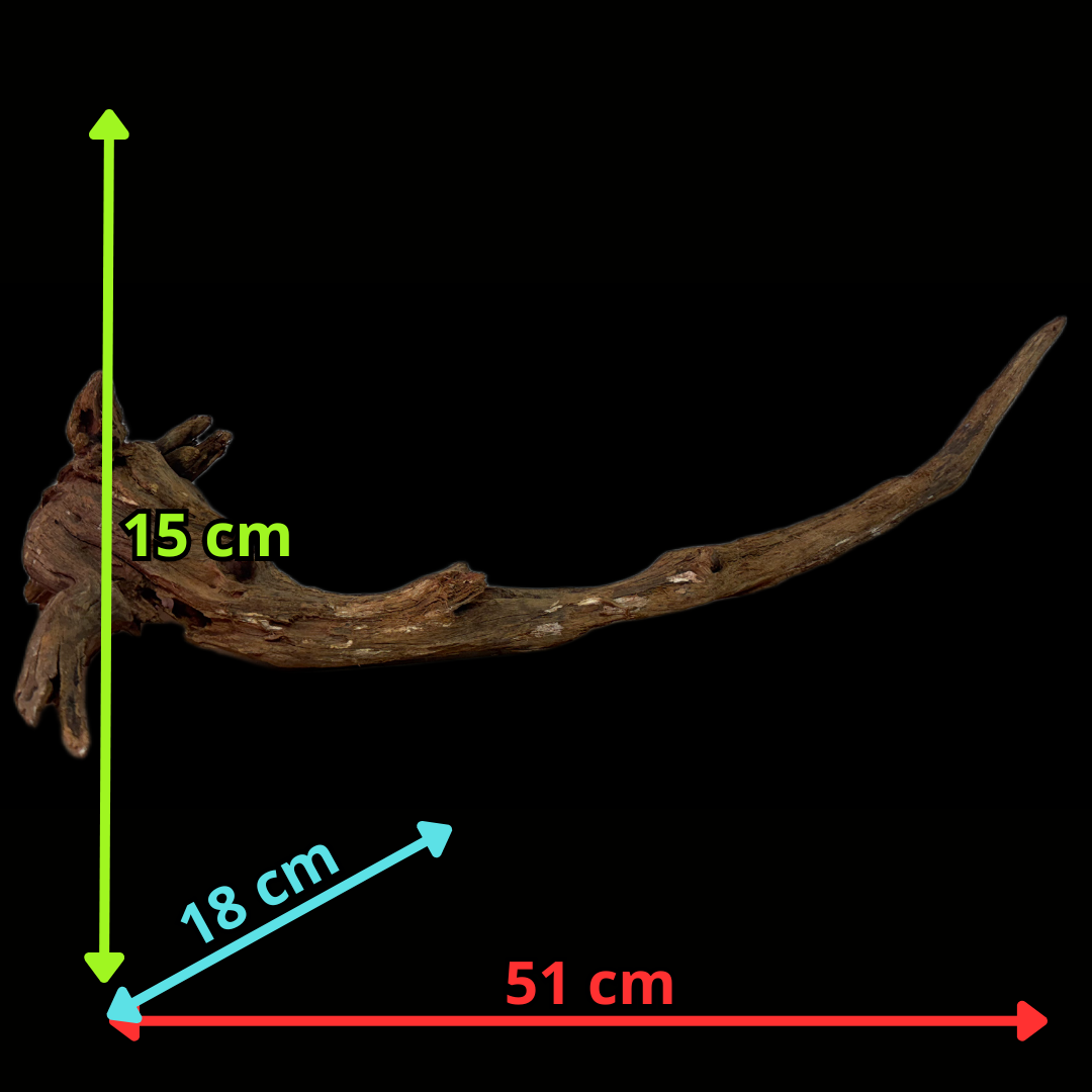 Drift Wood - 51*18*15 - cod.136 WHIMAR