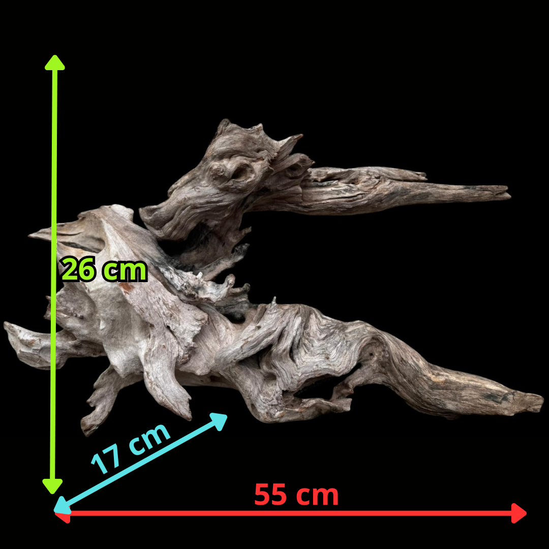 Drift Wood - 55*17*26 - cod.076 AQPET