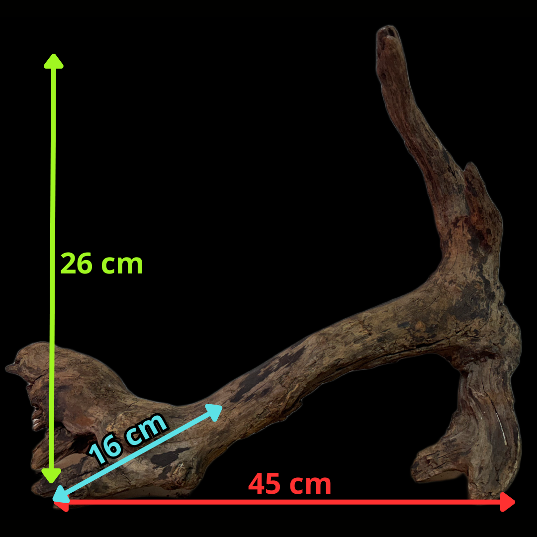 Drift Wood - 45*16*26 - cod.137 WHIMAR