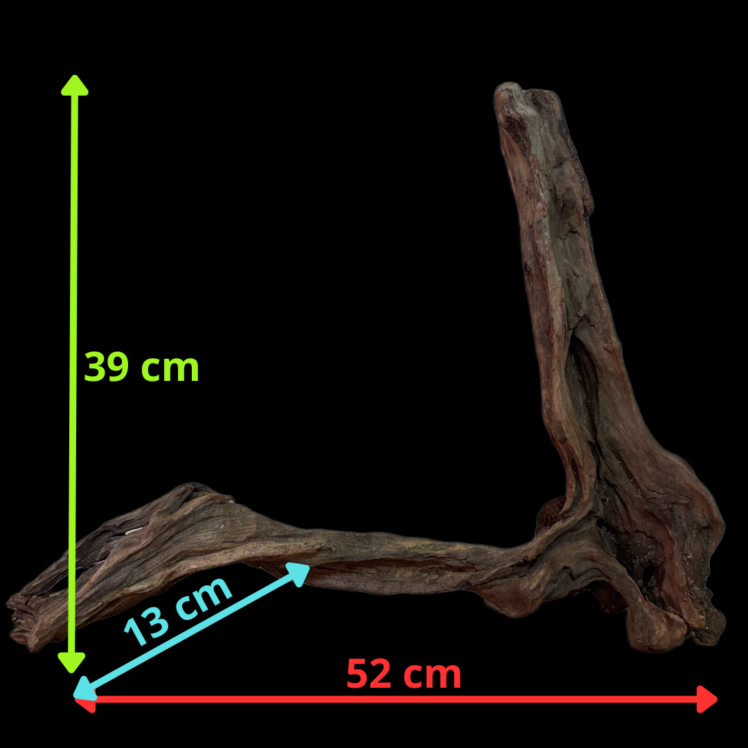 Drift Wood - 52*13*39 - cod.139 WHIMAR