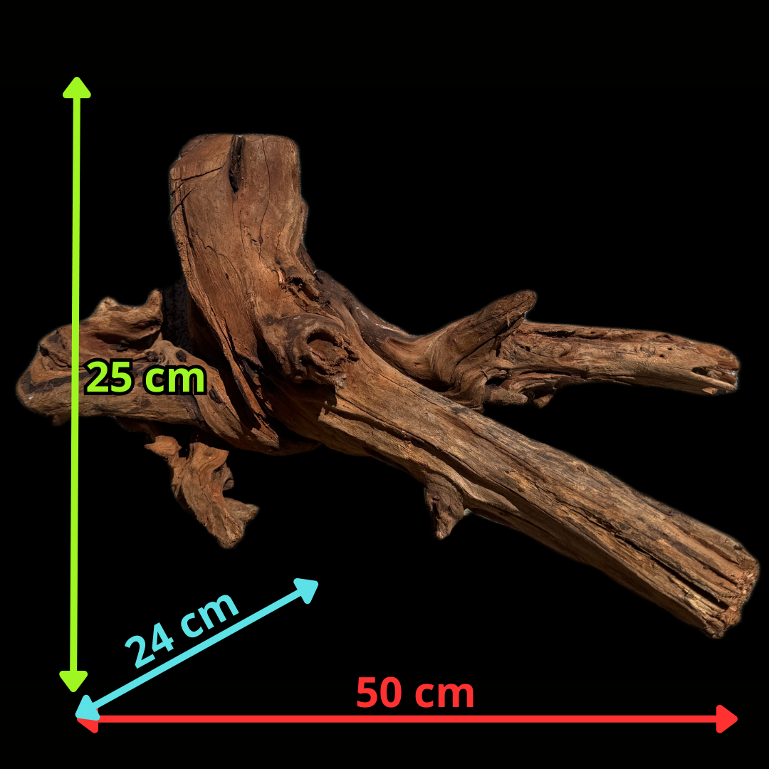 Drift Wood - 50*24*25 - cod.114 WHIMAR