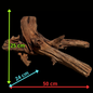 Drift Wood - 50*24*25 - cod.114 WHIMAR