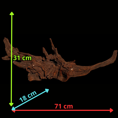 Drift Wood - 71*18*31 - cod.057