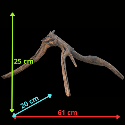 Drift Wood - 61*20*25- cod.103 AQPET