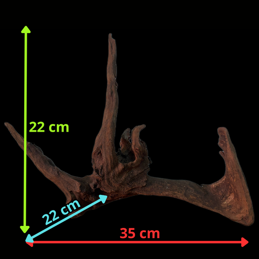Drift Wood - 38*8*29 - cod.165 WHIMAR