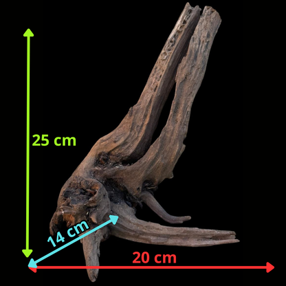 Drift Wood - 20*14*25 - cod.097 AQPET