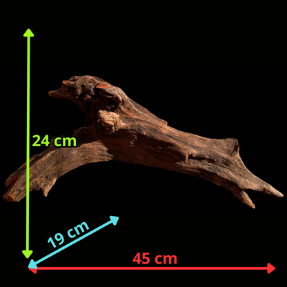 Drift Wood - 45*19*24 - cod.066