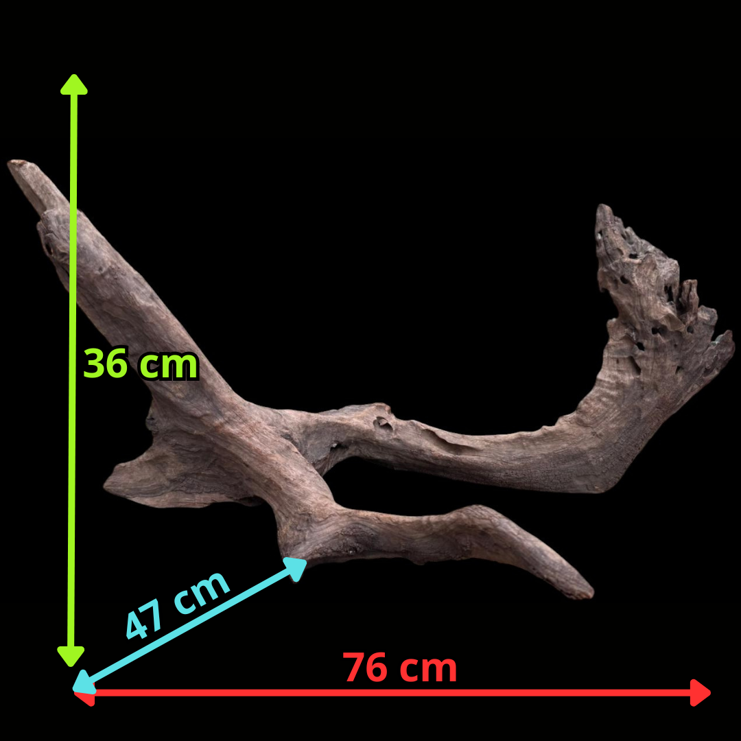 Drift Wood - 76*47*36 - cod.078 AQPET