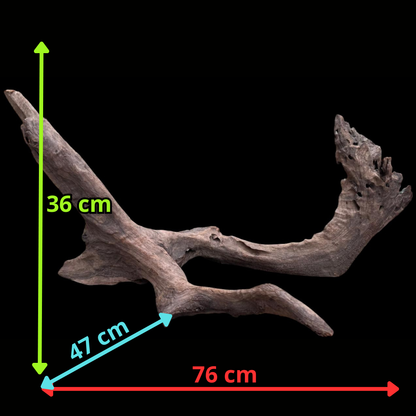 Drift Wood - 76*47*36 - cod.078 AQPET