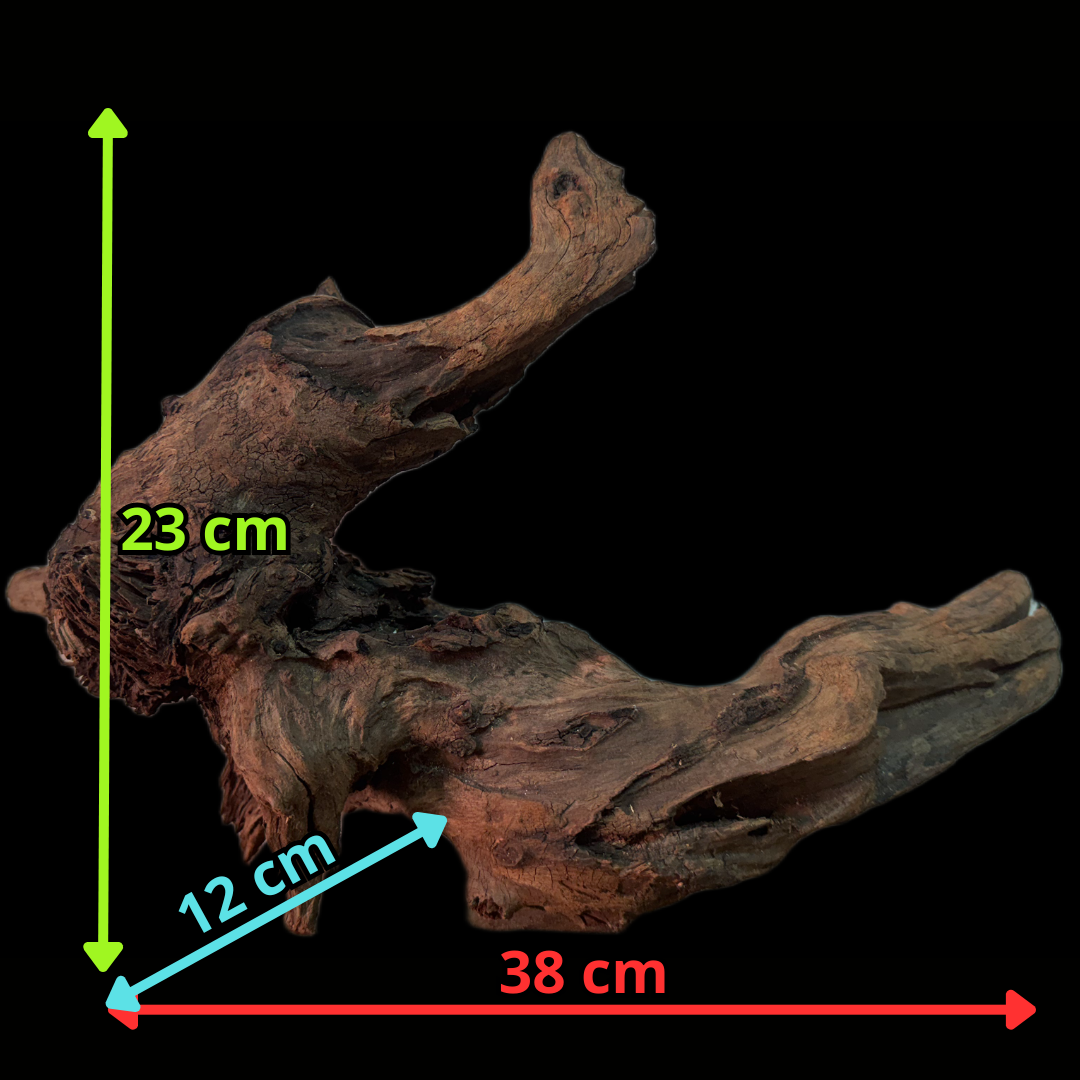 Drift Wood - 38*12*23 - cod.147 WHIMAR