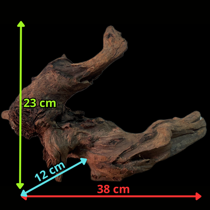 Drift Wood - 38*12*23 - cod.147 WHIMAR