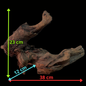 Drift Wood - 38*12*23 - cod.147 WHIMAR