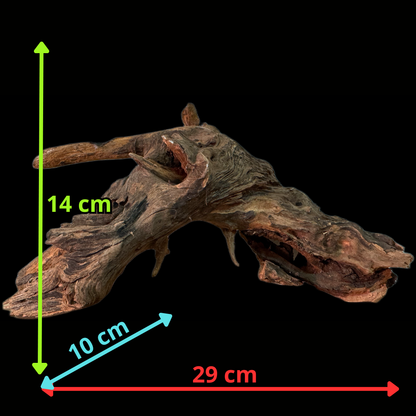 Drift Wood - 29*10*14 - cod.150 WHIMAR