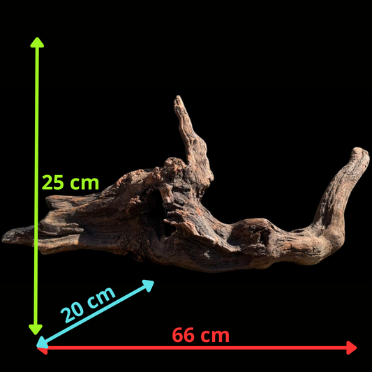 Drift Wood - 66*20*25 - cod.071 AQPET