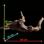 Drift Wood - 66*20*25 - cod.071 AQPET