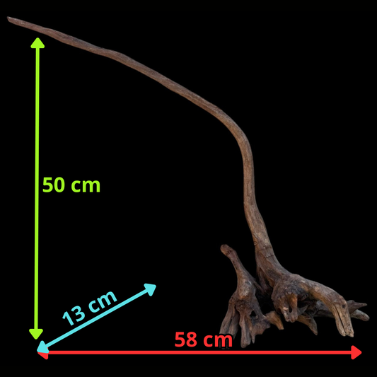 Drift Wood - 58*13*50- cod.107 AQPET