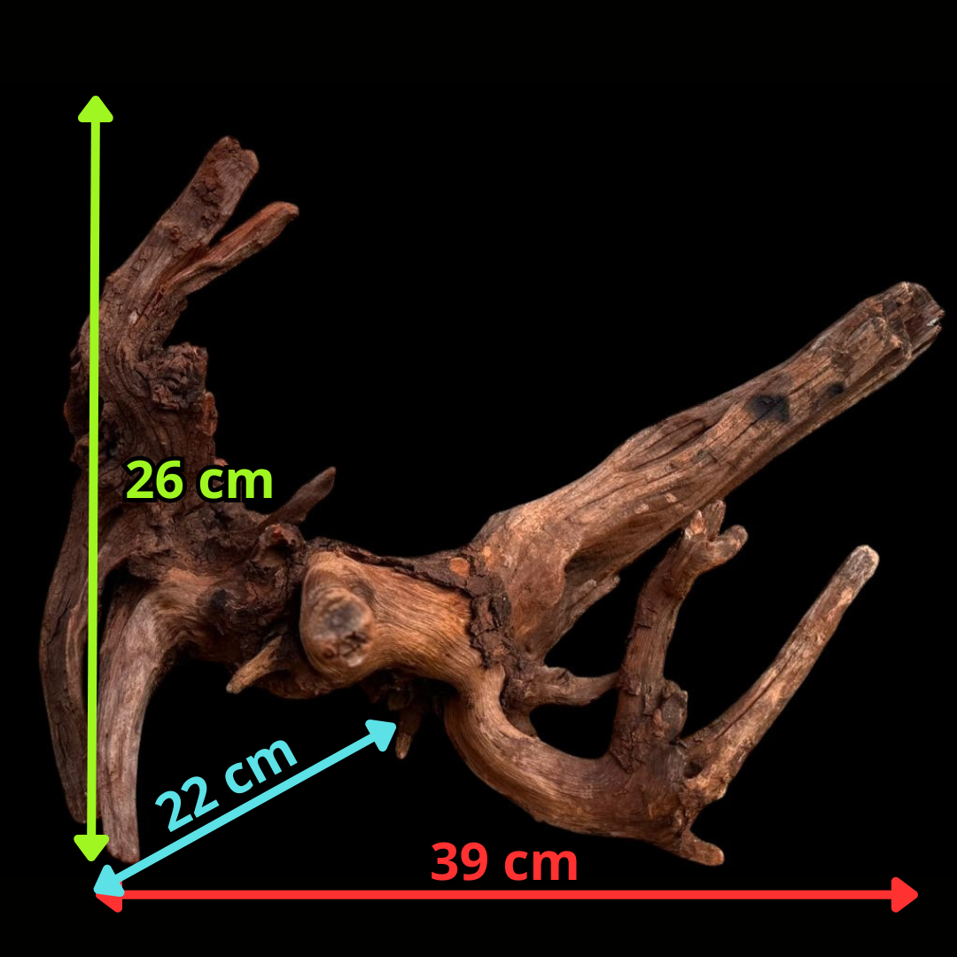 Drift Wood - 77*53*41 - cod.049 AQPET