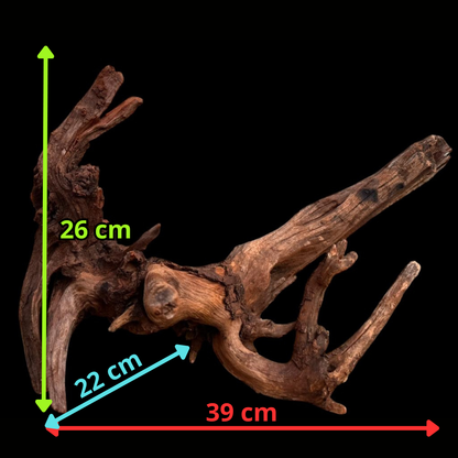 Drift Wood - 77*53*41 - cod.049 AQPET