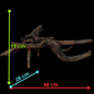 Drift Wood - 48*28*19 - cod.148 WHIMAR