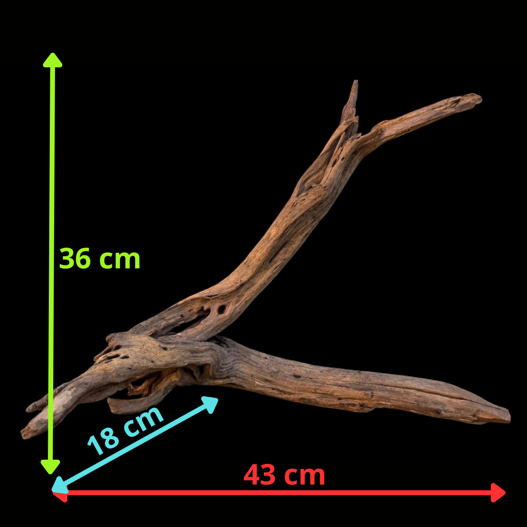 Drift Wood - 43*18*36 - cod.083 AQPET