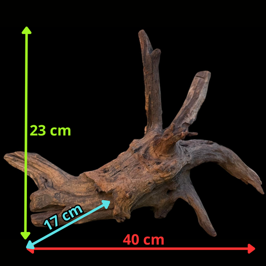 Drift Wood - 40*17*23 - cod.098 AQPET
