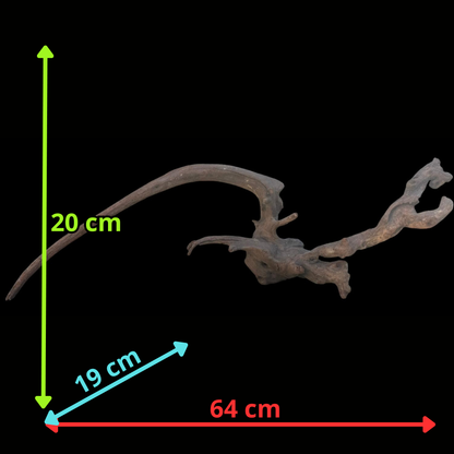 Drift Wood - 64*19*20 - cod.104 AQPET