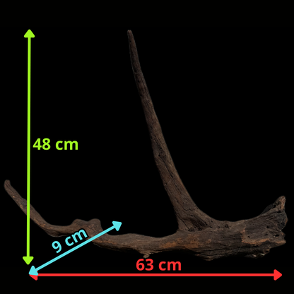 Drift Wood - 63*9*48 - cod.115 WHIMAR