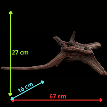 Drift Wood - 67*16*27 - cod.079 AQPET