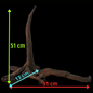 Drift Wood - 51*13*51 - cod.143 WHIMAR