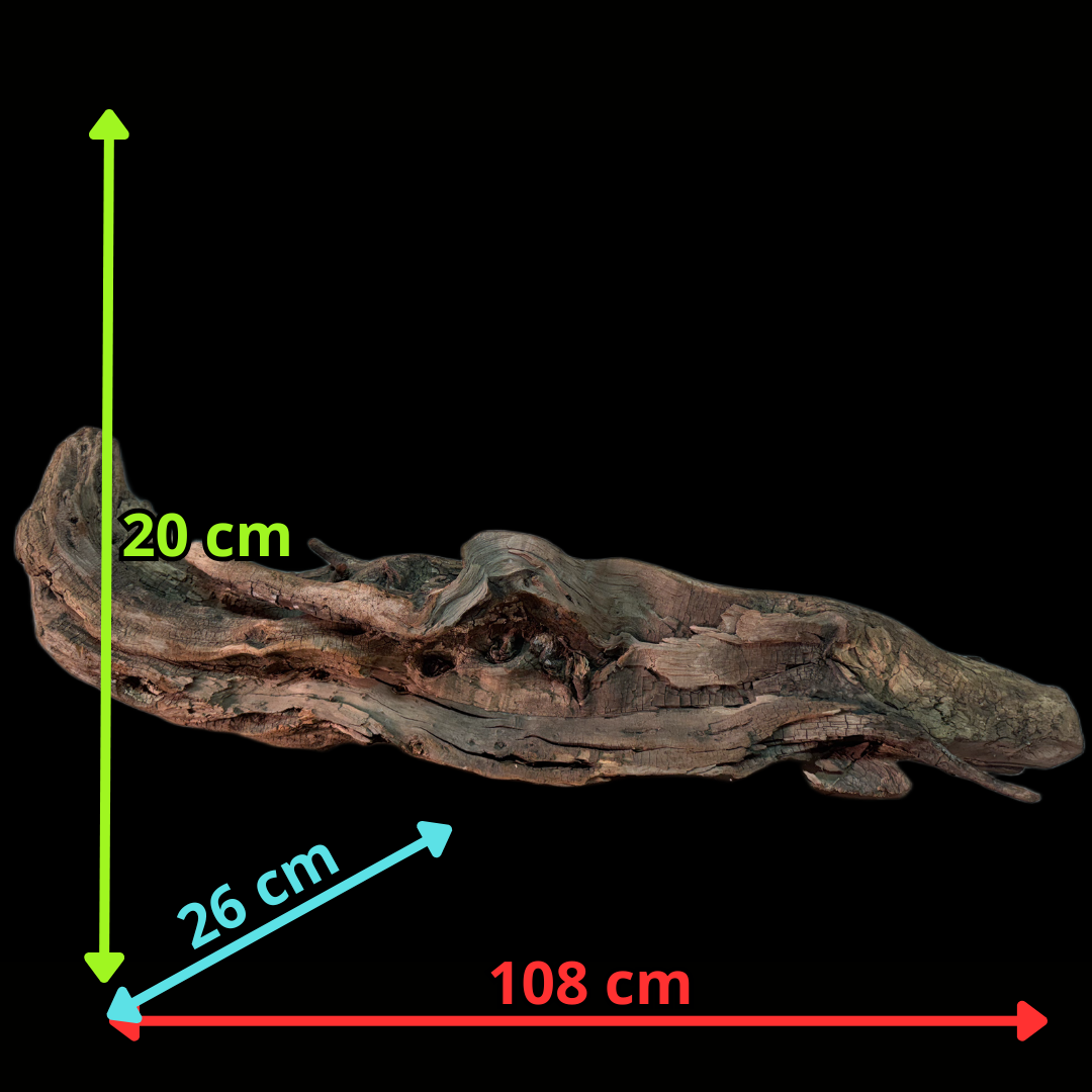 Drift Wood - 108*26*20 - cod.166 WHIMAR
