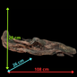 Drift Wood - 108*26*20 - cod.166 WHIMAR