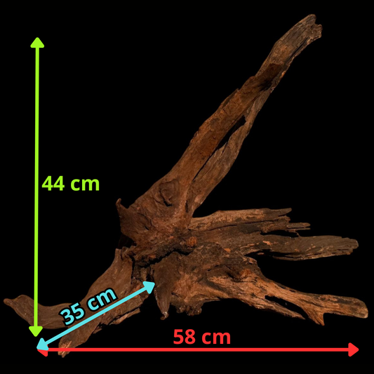 Drift Wood - 58*35*44 - cod.058