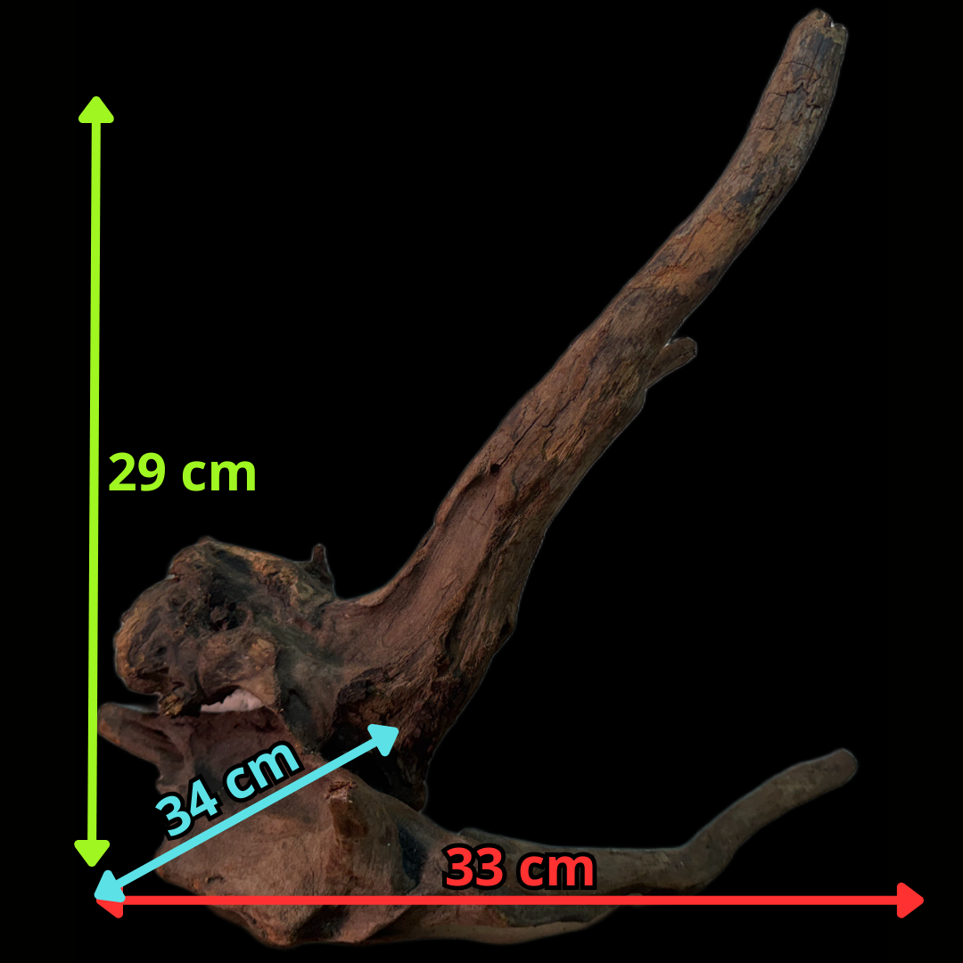 Drift Wood - 33*34*29 - cod.156 WHIMAR