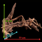 Drift Wood - 77*53*41 - cod.049 AQPET