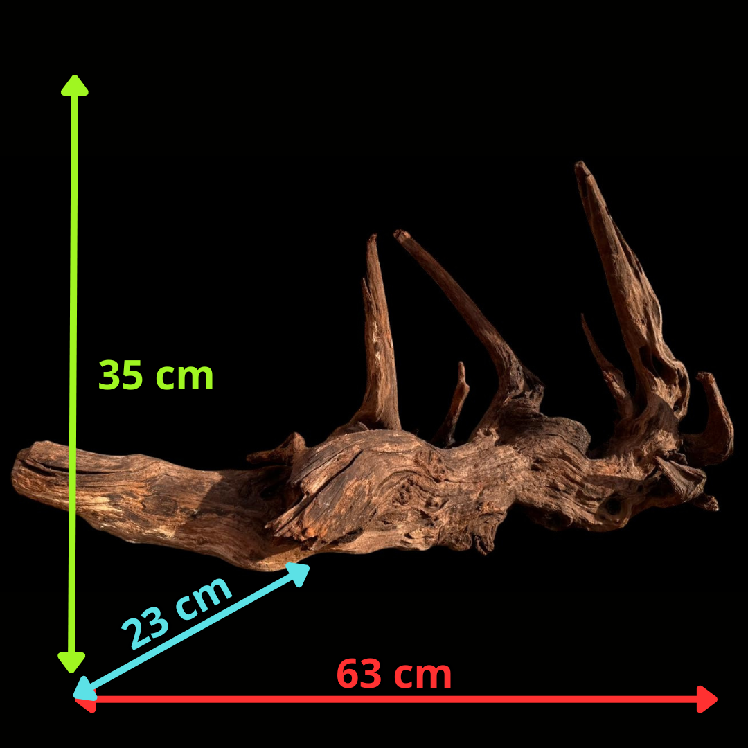 Drift Wood - 63*23*35 - cod.051