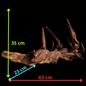 Drift Wood - 63*23*35 - cod.051