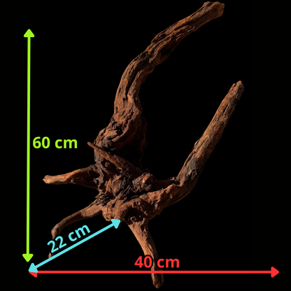 Drift Wood - 40*22*60 - cod.059