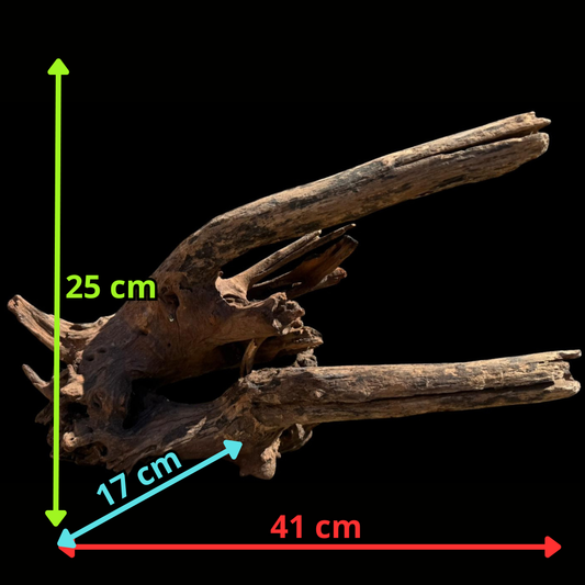 Drift Wood - 41*17*25 - cod.073 AQPET