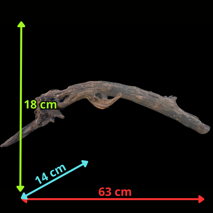 Drift Wood - 63*14*18 - cod.099 AQPET