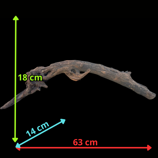 Drift Wood - 63*14*18 - cod.099 AQPET