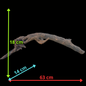 Drift Wood - 63*14*18 - cod.099 AQPET