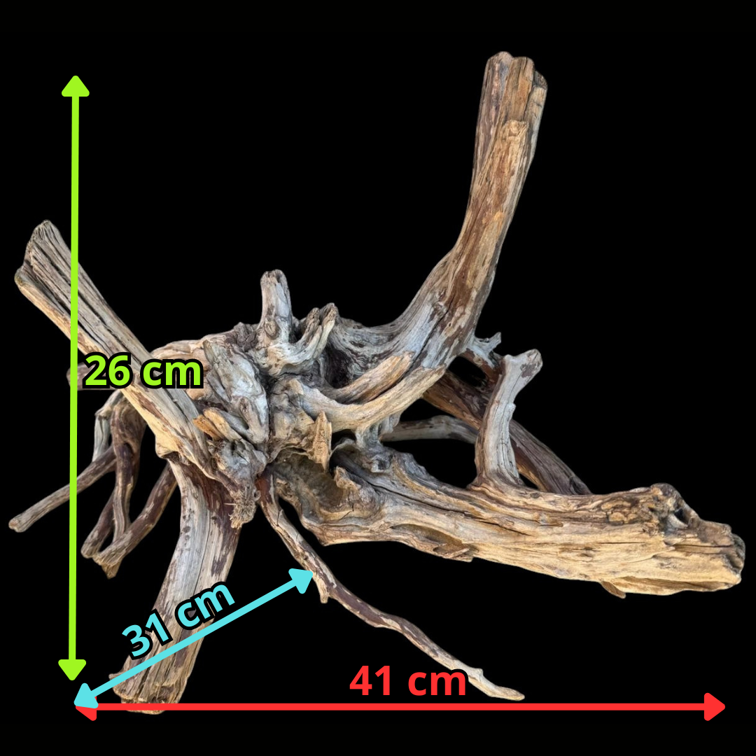 Drift Wood - 41*31*26 - cod.109 AQPET