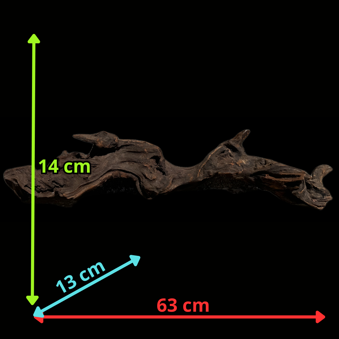 Drift Wood - 63*13*14 - cod.116 WHIMAR