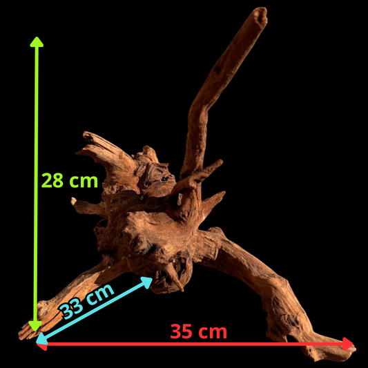 Drift Wood - 35*33*28 - cod.068