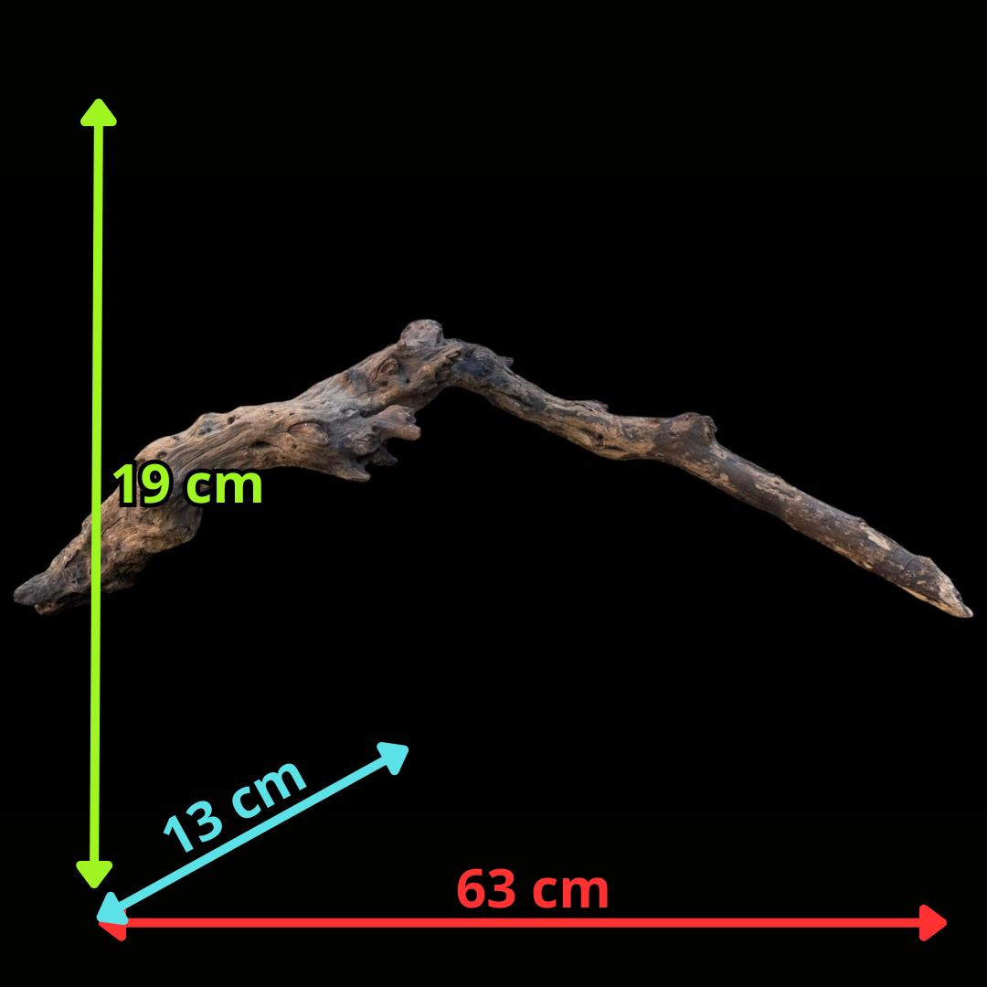Drift Wood - 63*13*19 - cod.095 AQPET