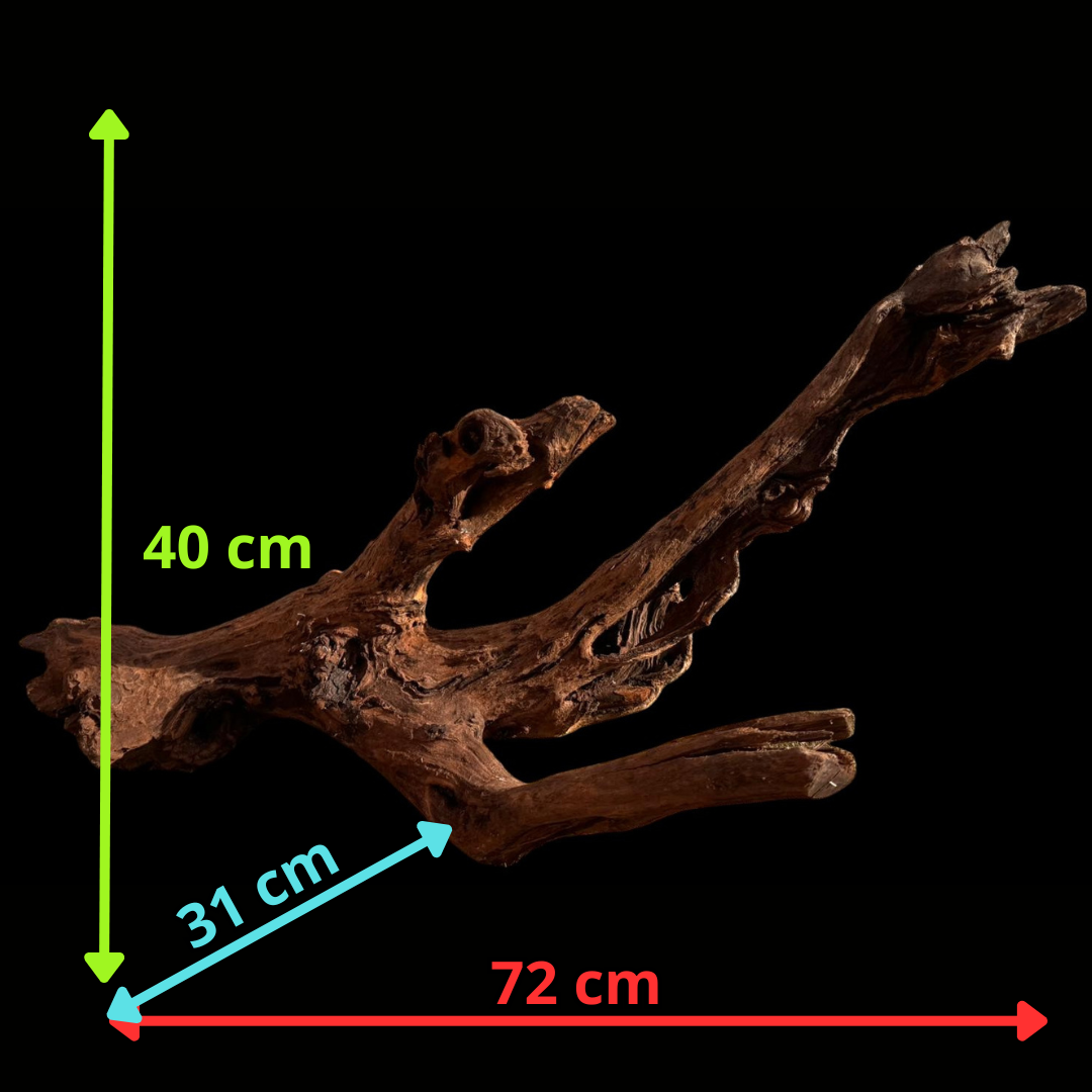 Drift Wood - 72*31*40 - cod.052