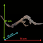 Drift Wood - 75*16*21 - cod.100 AQPET
