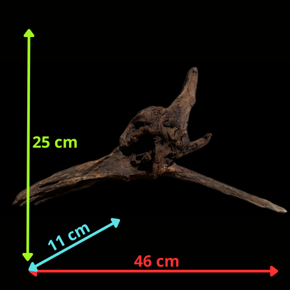 Drift Wood - 46*11*25 - cod.117 WHIMAR