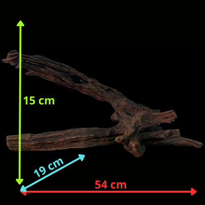 Drift Wood - 54*19*15 - cod.158 WHIMAR