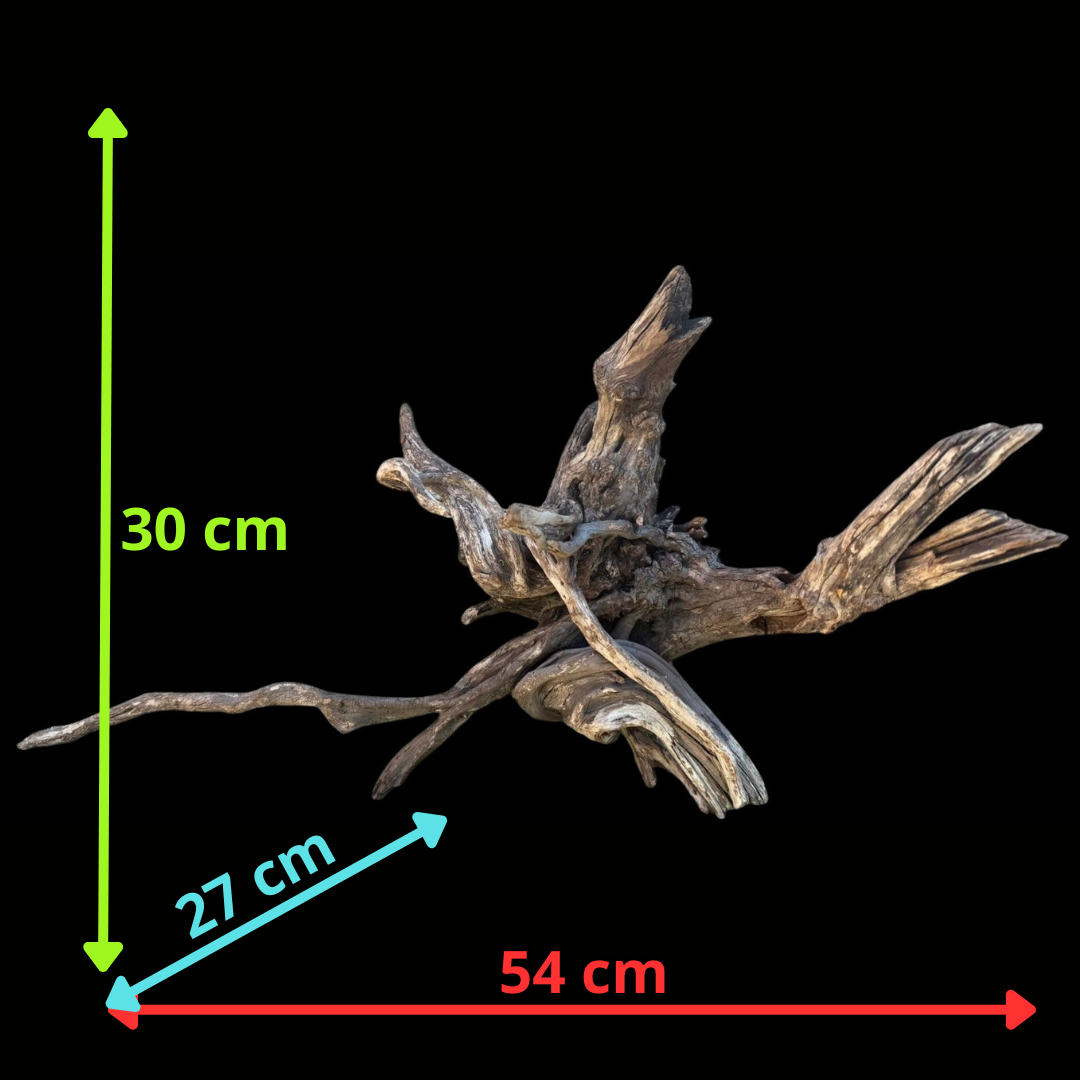 Drift Wood - 54*27*30 - cod.110 AQPET